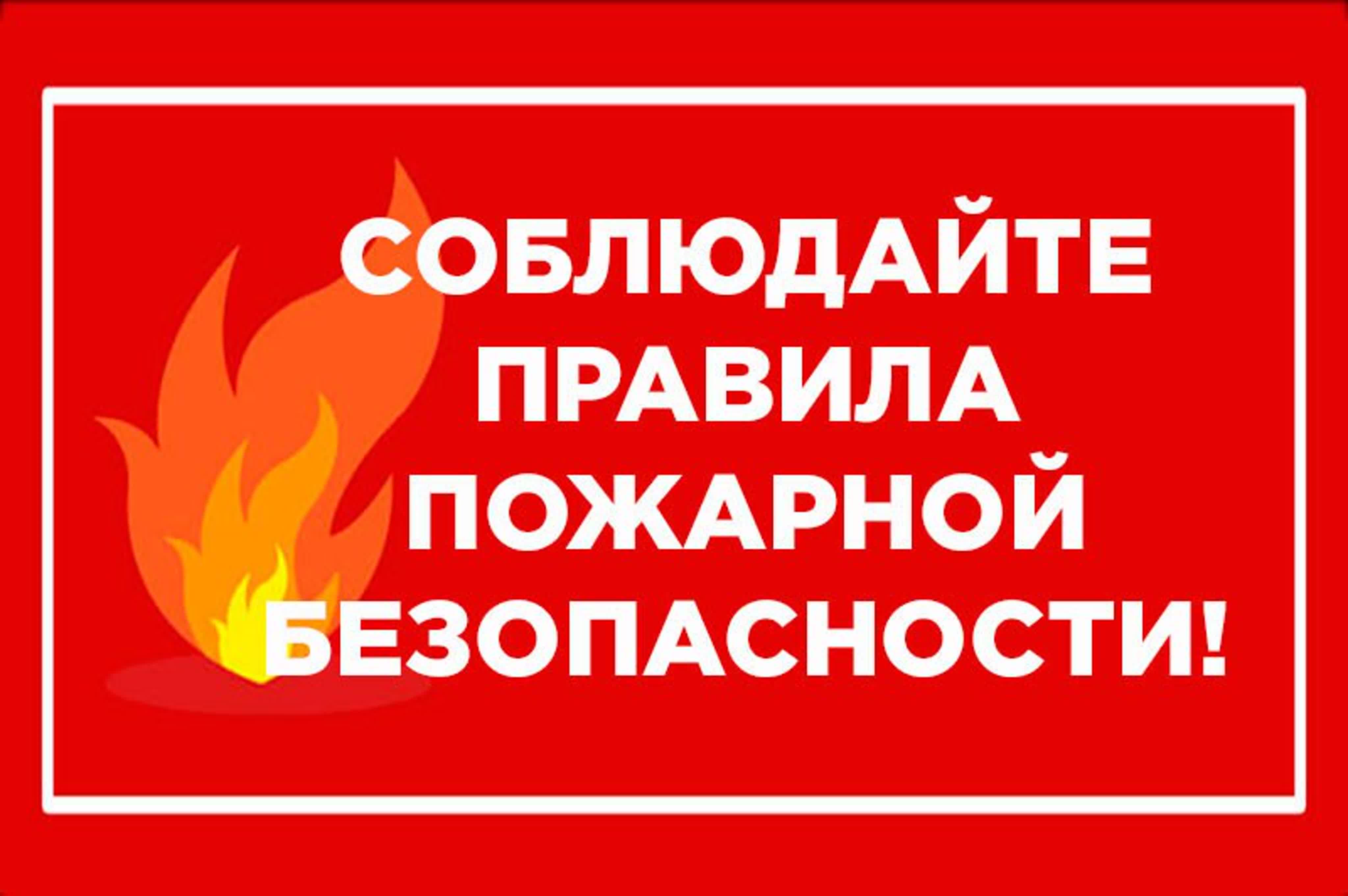 Поговорим о пожарах, которые происходят в условиях окружающей природной среды..